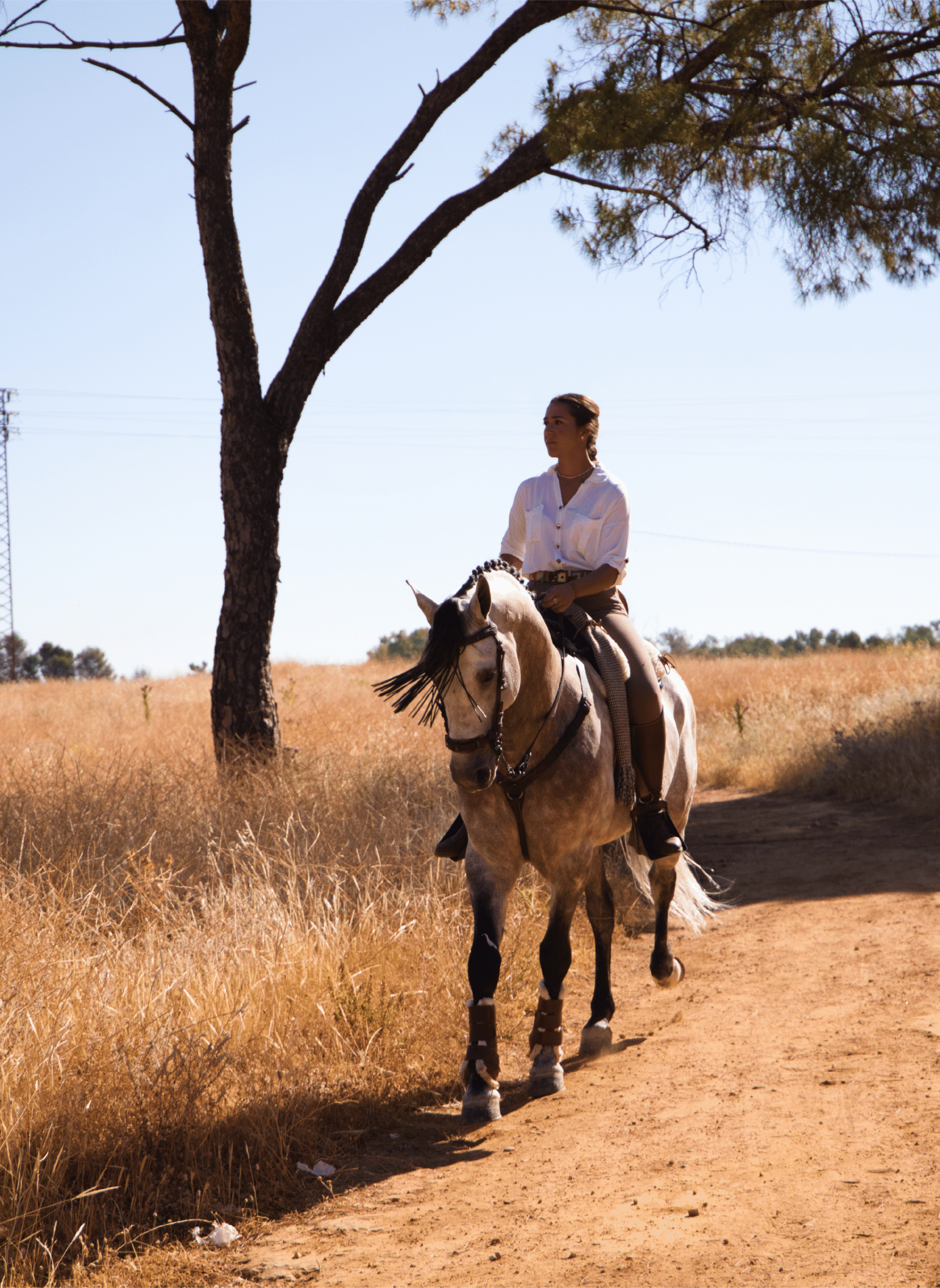The Preserve -