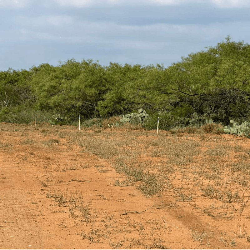 Why South Texas Is the Perfect Place to Build Your Legacy -