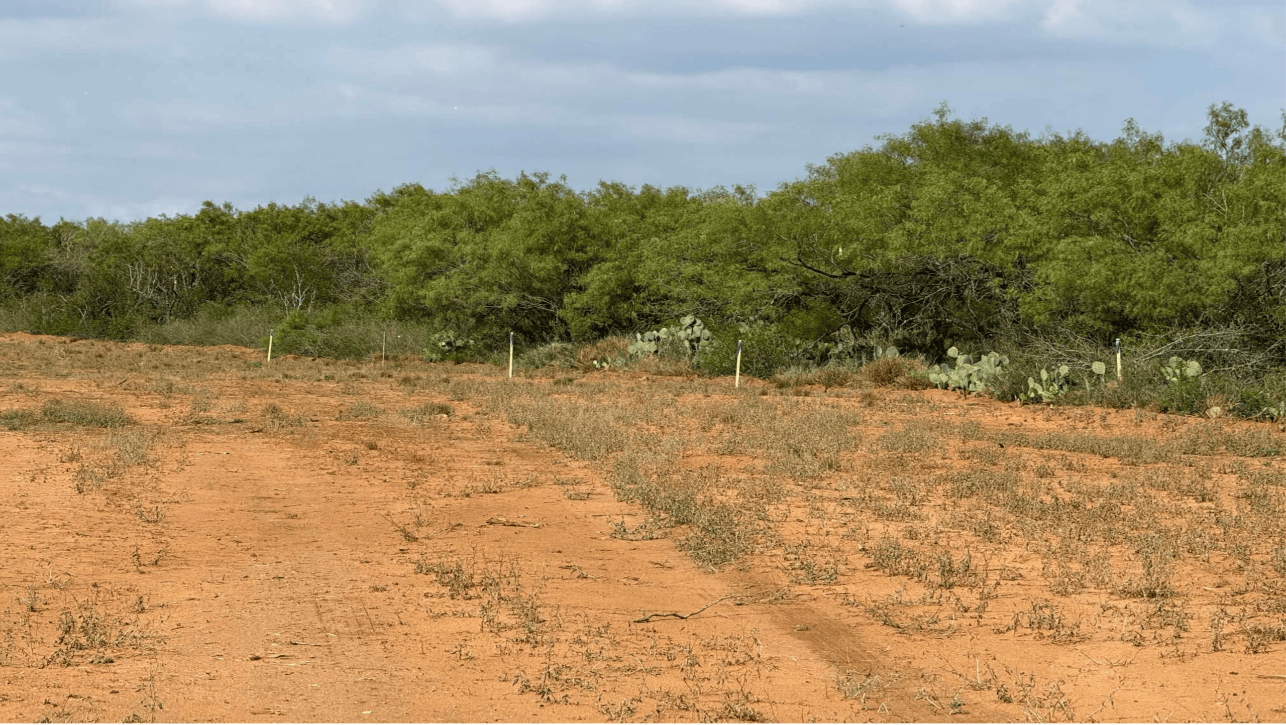 Why South Texas Is the Perfect Place to Build Your Legacy