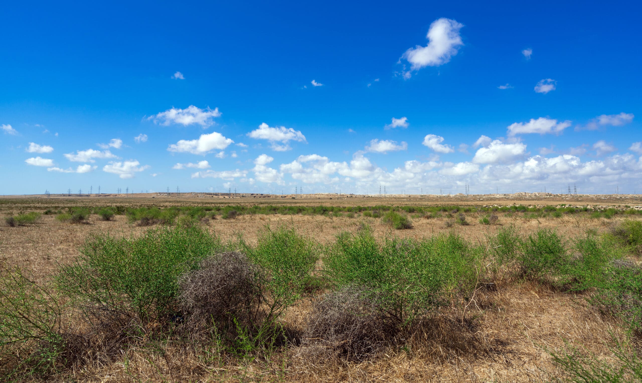 Honoring South Texas Ranch Culture in a Modern Community