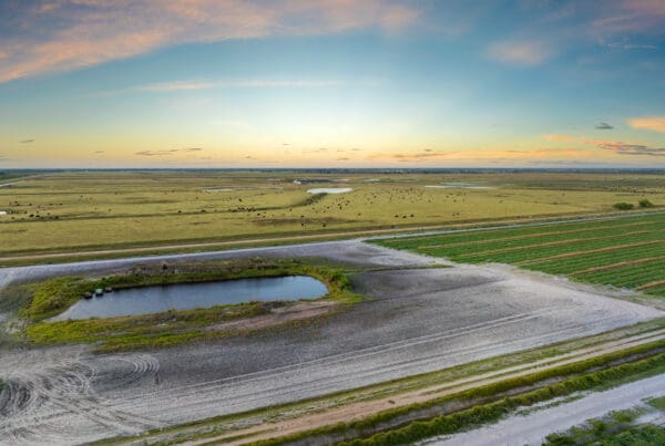 South Texas master-planned community featuring ponds, green spaces, and modern infrastructure supported by a dedicated water system.