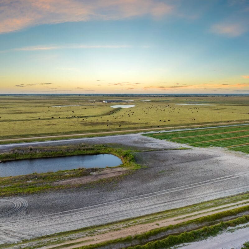 South Texas master-planned community featuring ponds, green spaces, and modern infrastructure supported by a dedicated water system.