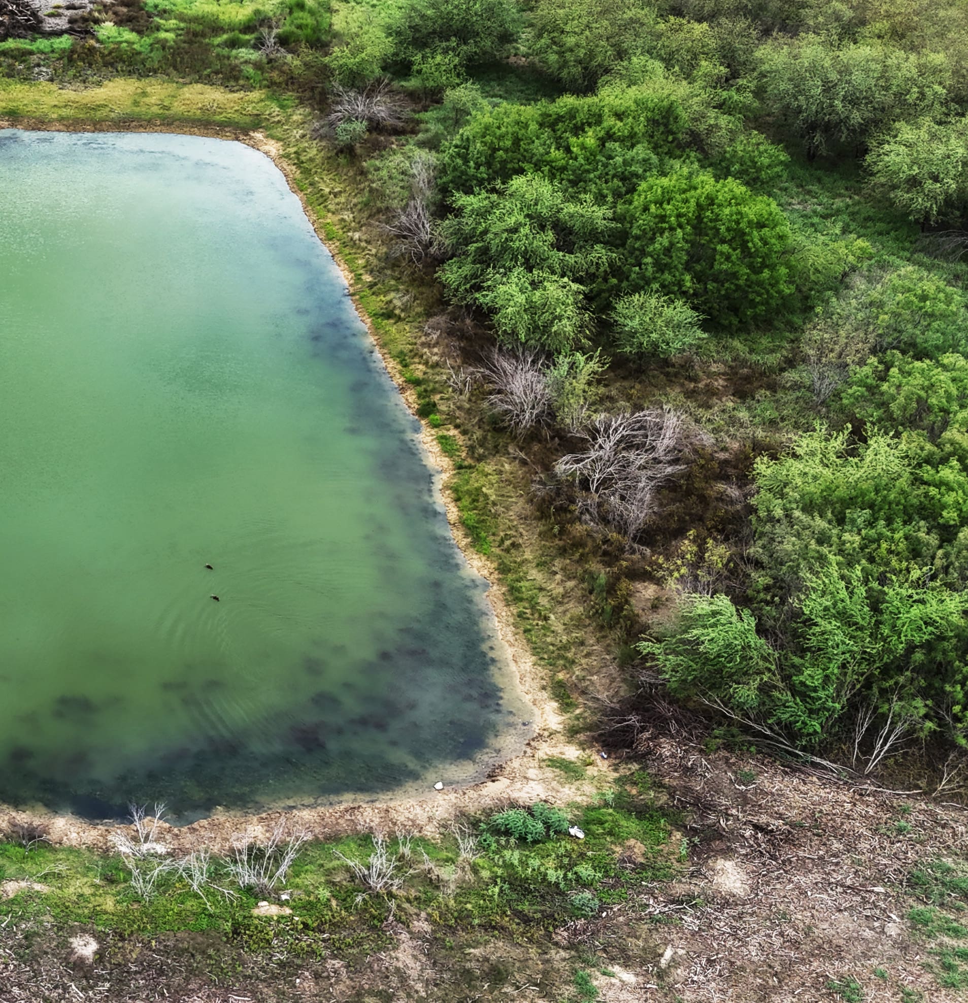 Sustainability -