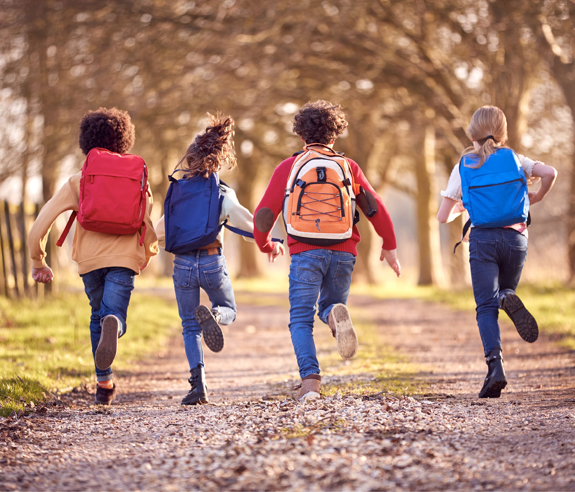 Education and Workforce Development -