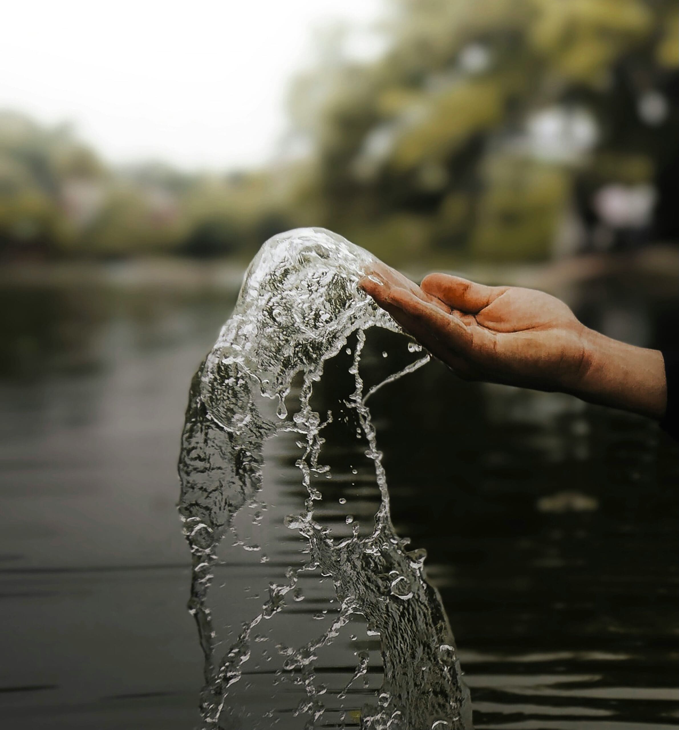 Sustainability -